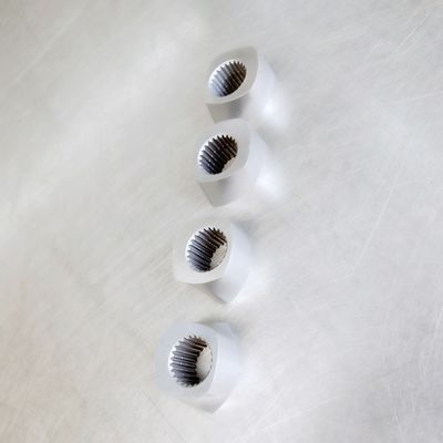 ZSE50 vite speciale Segement, blocco d'impastamento Φ15.6 - gamma della vite di Φ430mm