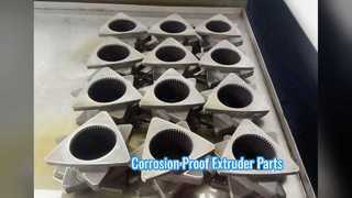 Parti dell'estrusore bivite ad alta resistenza alla corrosione